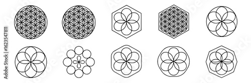 Set of ten geometric Flower of Life and Seed of Life shapes. Vector illustration collection - circles, hexagons, intersecting lines, monochrome, decorative elements, sacred geometry. Design elements s