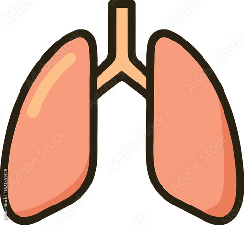 Cartoon illustration of human lungs with trachea on a white background