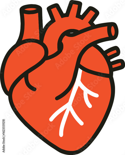 Stylized Anatomical Heart Illustration with Orange and Black Outline on White Background