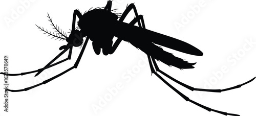 Mosquito silhouette insect pest danger symbol