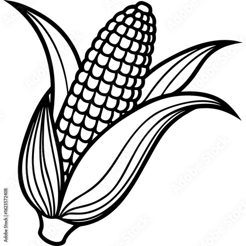 ear of corn
