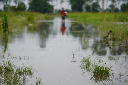 person walking on a flooded path or road, with water reflecting their figure and the surrounding environment