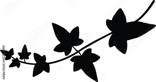 Black ivy silhouette branch