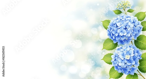 Delicate blue hydrangea blossoms with lush green leaves on a softly blurred light background