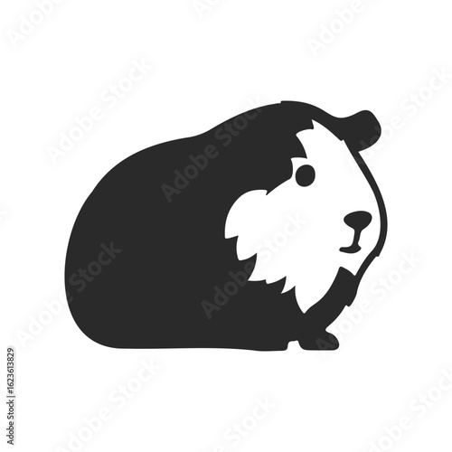 Silhouette of a fluffy guinea pig on white background