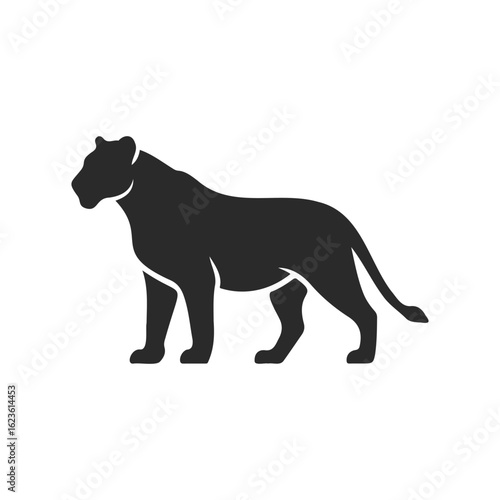Silhouette of a lioness walking with grace