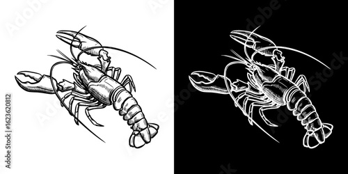 Lobster isolated vector image, two design variants on transparent and black background, pencil drawing, chalk drawing  
