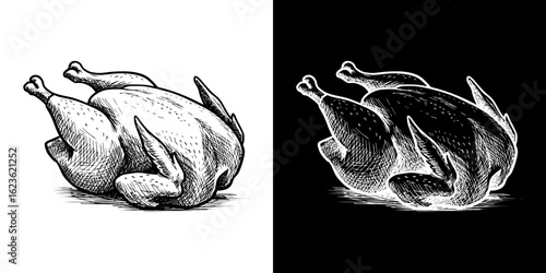 Illustration of a roasted chicken, isolated vector image, two design variants on transparent and black background, pencil drawing, chalk drawing
