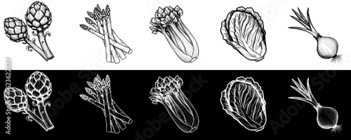 Isolated vector image of artichoke, asparagus, celery, lettuce, onion two design variants on transparent and black background, pencil drawing, chalk drawing, collection, set, seamless border
  