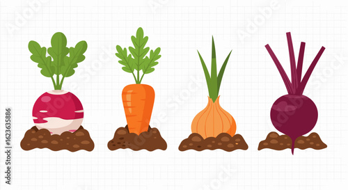 Illustration of four different root vegetables growing in soil with green tops and vibrant colors