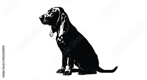 Black and White Bloodhound Illustration, Canine Portrait, Dog Breed
