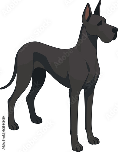 Isometric vector great dane towering in standing pose, elegant and tall, vector-friendly, isolated on white