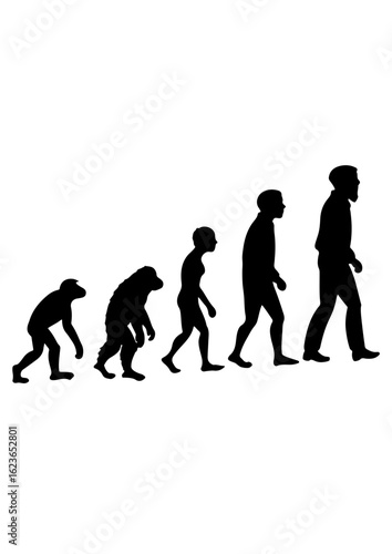 Silhouette of Human Evolution Stages