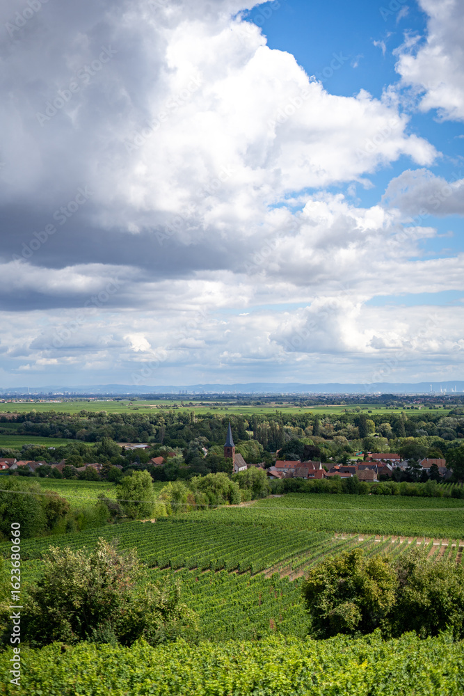 Fototapeta premium Vineyards and Village in the Palatinate Wine Region under a Cloudy Sky