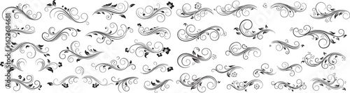 Silhouette vector collection of vintage floral ornaments and decorative swirls isolated on white background