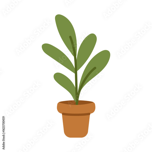 Vector illustration of houseplant in terracotta flower pot. Cute indoor plant in flat design.