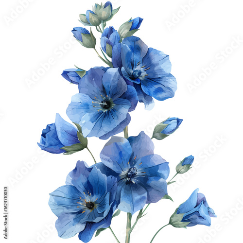 Delphinium Flower, watercolor vector, isolated on a white background.