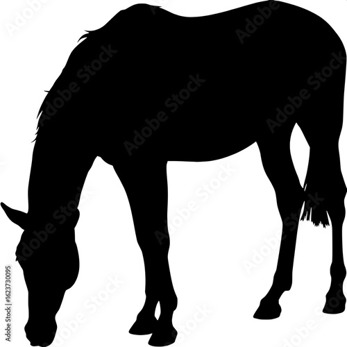 A bold, stylized horse silhouette facing right, with its head lowered slightly in a grazing position. All outlines are smooth and minimal, representing only the essential features. Background remains 
