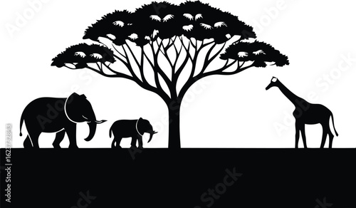 Silhouette of Elephants and Giraffe under an Acacia Tree on White Background savanna