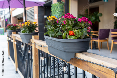 Outdoor cafe terrace with fresh flowers. Restaurant patio with flower pots on the fence in summer