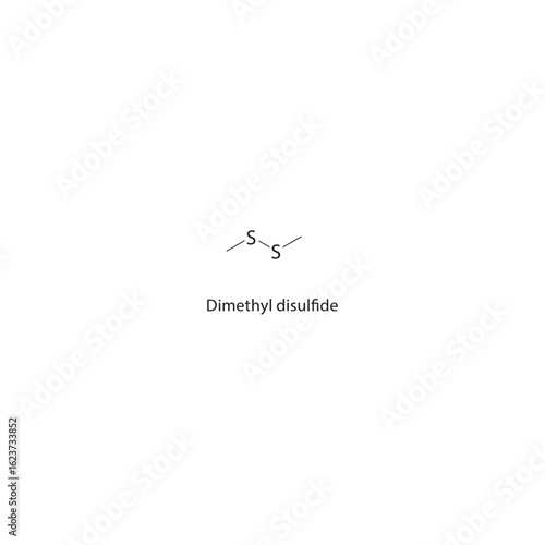 Dimethyl disulfide skeletal structure. Disulfide compound schematic illustration. Simple diagram, chemical formula.