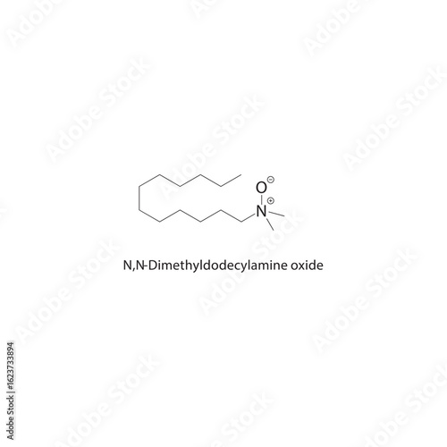 N,N-Dimethyldodecylamine oxide skeletal structure. Amine Oxide compound schematic illustration. Simple diagram, chemical formula.