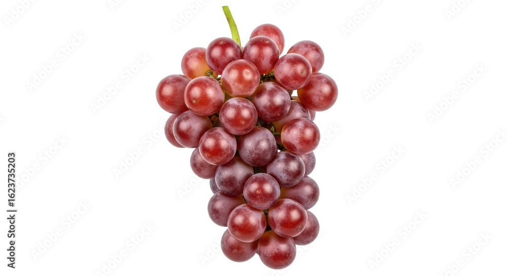 Fototapeta premium Isolated Bunch of Red Grapes