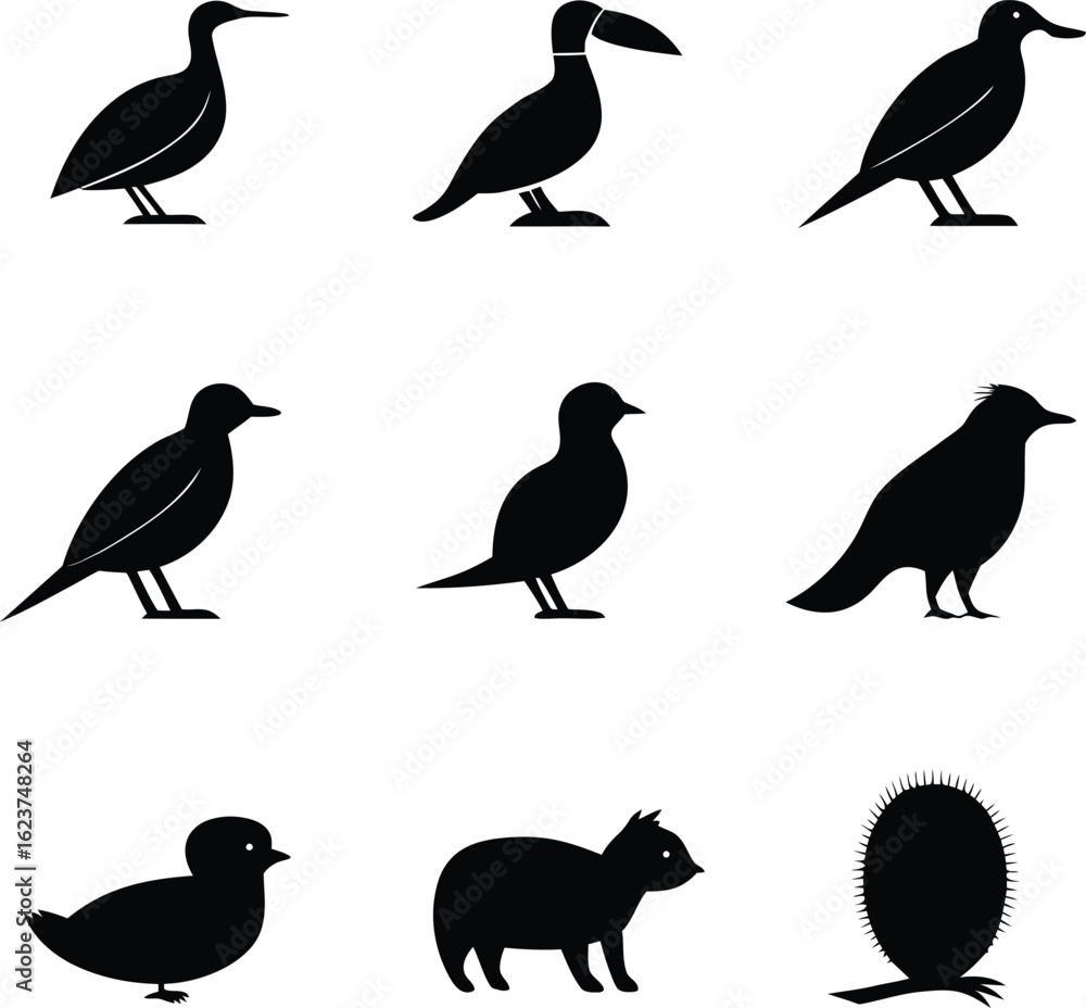 Fototapeta premium Collection of black silhouette icons of various birds a chick and a spiky plant bird silhouette