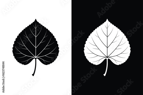 Aspen Leaf icon vector on White Background ,Vector Art Illustration on white background.