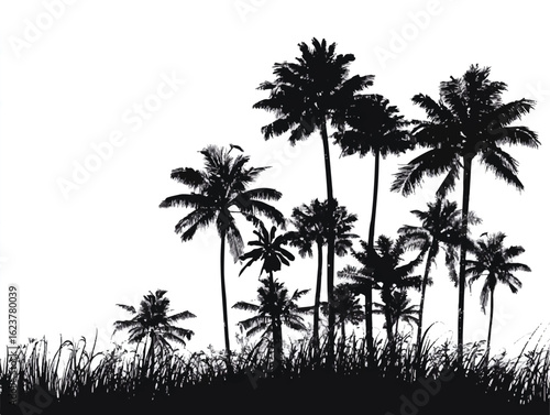 Silhouette of Palm Trees against a White Background Representing Tropical Vacation or Tropical Forest Black and White Design Element