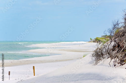 Canvas Print Beach in St. Joseph Peninsula State Park in Port St. Joe Florida