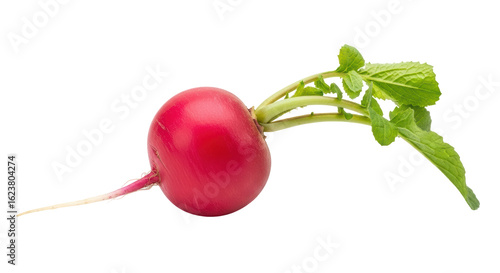 Isolated Red Radish