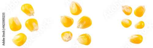 Ripe corn kernels falling on transparent background