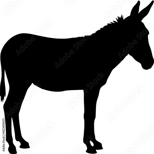 Silhouette of a donkey in three-quarter view, slightly angled toward the viewer but still largely in profile. The animal’s details like tail, ears, and hooves are visible in sharp contrast against the