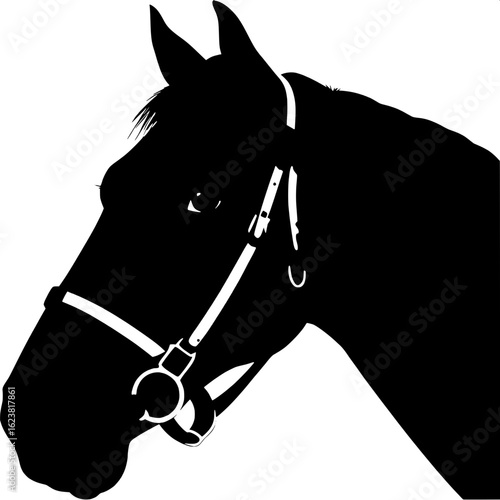 A close-up black and white portrait of a dark gray horse, head turned toward the viewer but with eyes gazing off-frame. The bridle’s leather texture and metal buckles are rendered with intricate line 