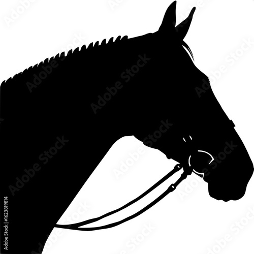 A side-profile grayscale drawing of a dapple gray horse with a white background. The horse’s head is turned slightly down and left, capturing the strong curve of the neck and detailed features of the 