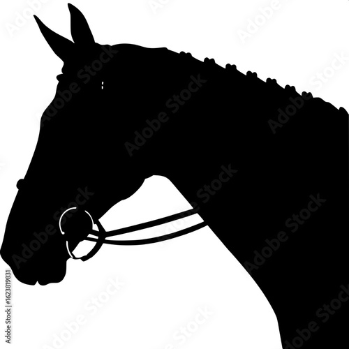 A side-profile grayscale drawing of a dapple gray horse with a white background. The horse’s head is turned slightly down and left, capturing the strong curve of the neck and detailed features of the 
