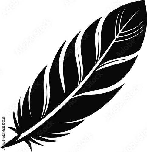 Vector art of black and white graphic illustration of a single feather, isolated on white background