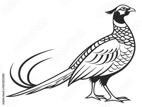 Elegant pheasant illustration with detailed feathers and long tail in black and white design style created with generated ai