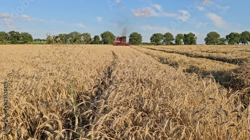 A red truck in a field
