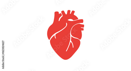 Simple vector illustration of a human heart. A red graphic icon representing concepts of science, medicine, love, and life.