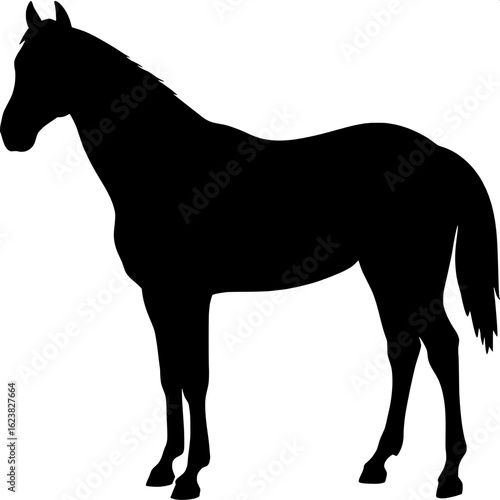 Silhouette of a horse standing still, viewed in profile, slightly turned toward the viewer. The form is geometric and graphic, using bold black against a blank white background. Only core features lik