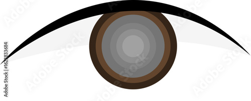 Human Eye