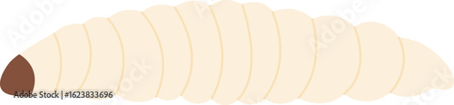Larva maggot Vector Illustration
