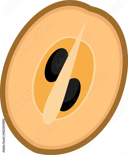 sapodilla Graphic Illustration
