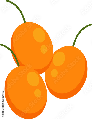 Orange fruit fresh
