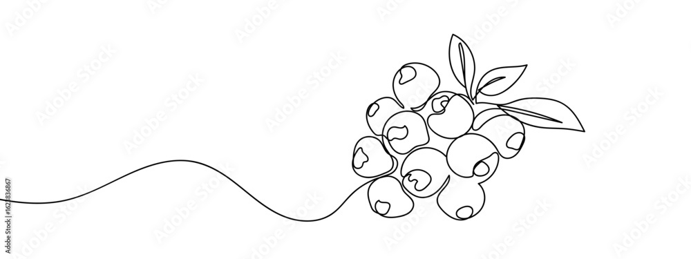 Obraz premium Simple hand drawn continuous vector line of blueberry isolated on transparent background. stroke editable