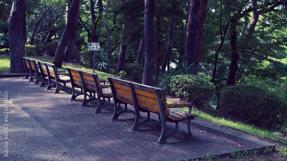 公園のベンチ 公園のベンチ