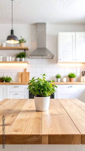 Bright, modern kitchen with a potted herb