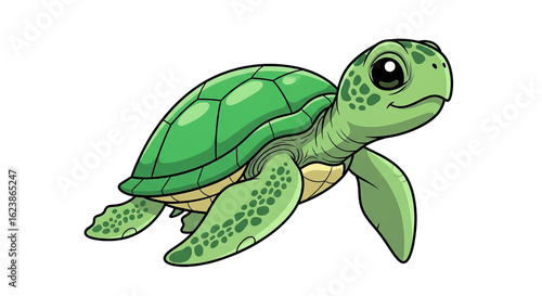 Cartoon Sea Turtle Character on Transparent Background